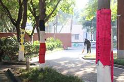 ca755a1fbbb53244ca9cb941b602dad